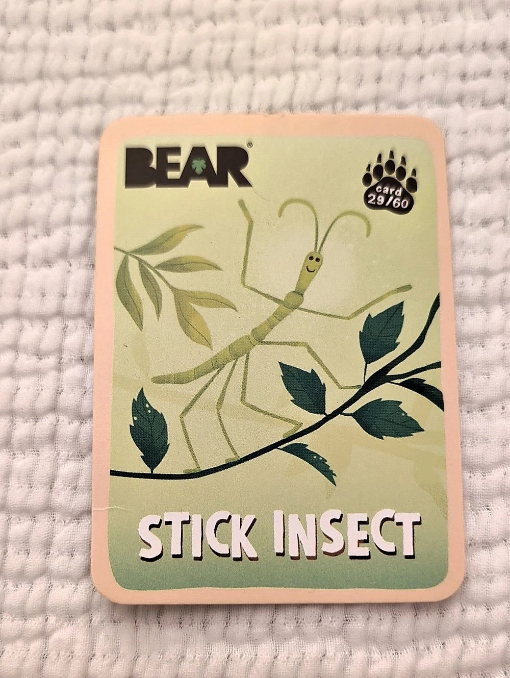 Rare! BEAR *Stick Insect* Trading Card Green